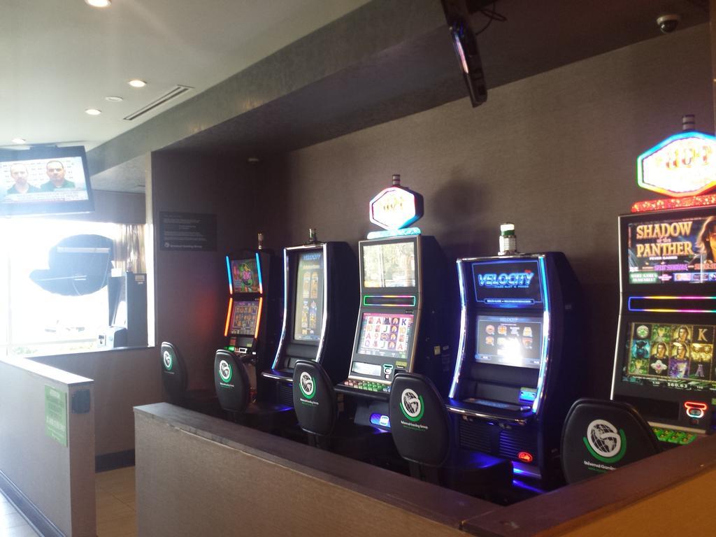 Wyndham Garden Elk Grove Village - O'Hare מראה חיצוני תמונה